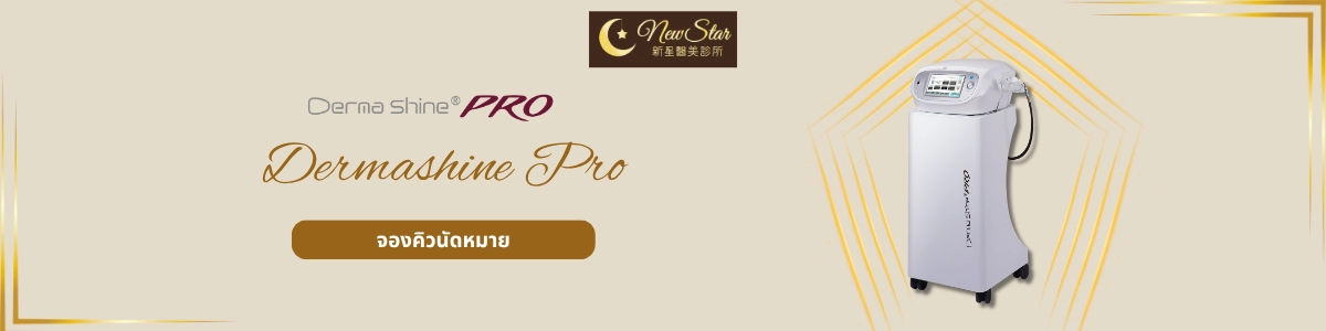 新星NewStar